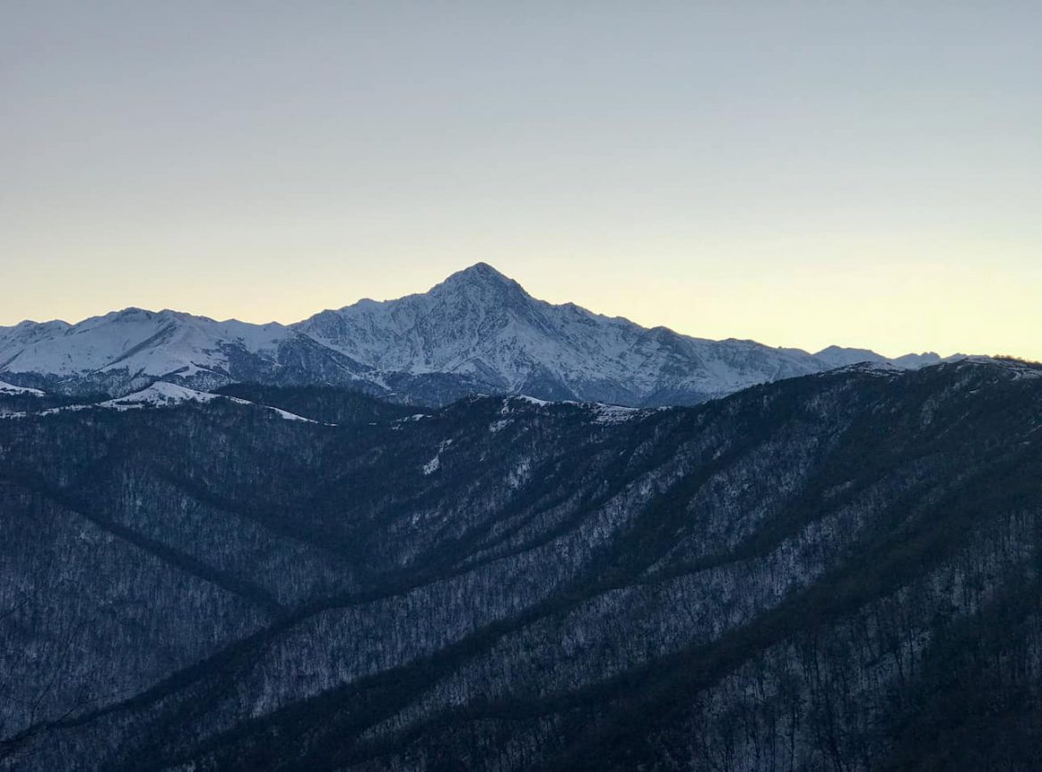 Ես ողնաշարս եմ ուզում